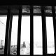 Dario Ferro Copyright - 10Robben Island